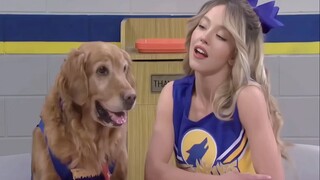 Khi các nữ diễn viên Hollywood gặp gỡ nhiều loài động vật khác nhau, bạn thích đội nào?