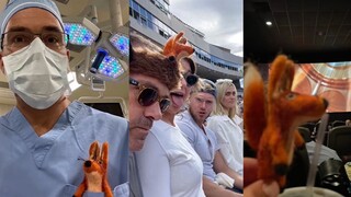 去上大学后 我送给爸爸一个狐狸指套玩偶