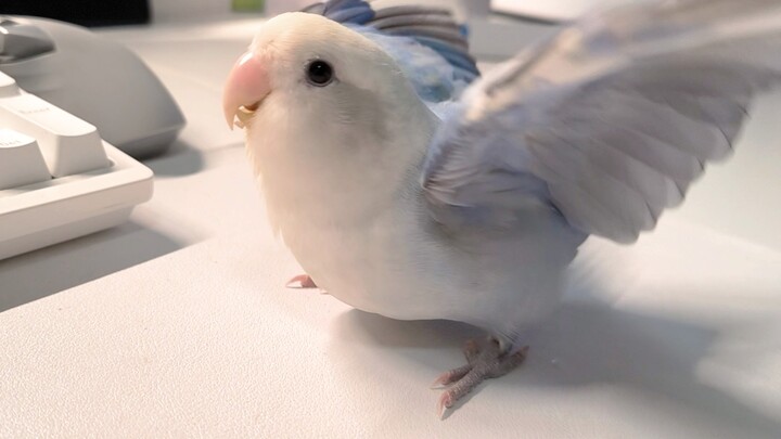 There are snacks 🤤 Why are they vegetables 😦 Why are they vegetables 😠 Why are they vegetables 😡 Why