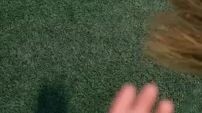 dewa sepak bola