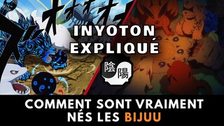 NARUTO: LA VRAIE NAISSSANCE DES BIJUU ET L'INYOTON EXPLIQUÉS