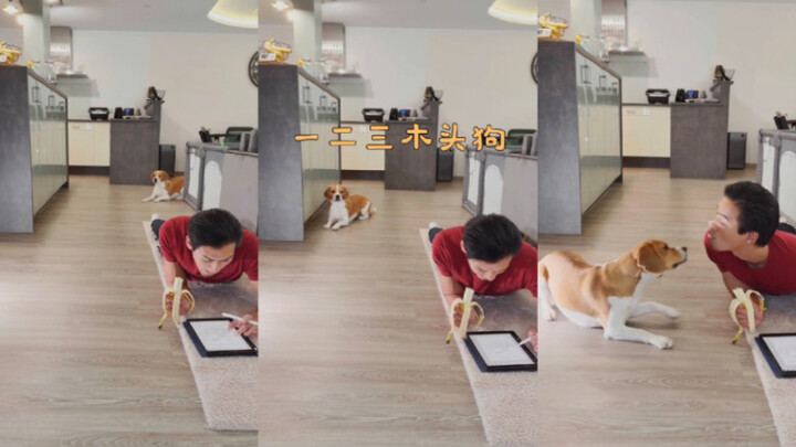 หนึ่งสองสามหมาไม้!