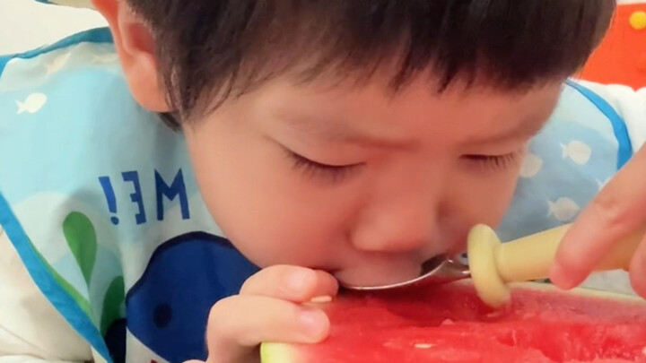 ชีวิตประจำวันของซีกวาปี่