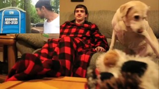 "Everyday Situations" 08: Occupied Parker Zippel's Reaction