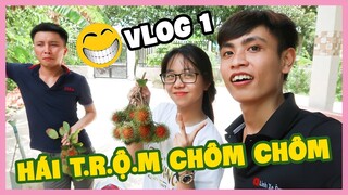 Hái T.r.ộ.m Trái Cây Của Ông Chú Hàng Xóm Sương Sương Và Cái Kết