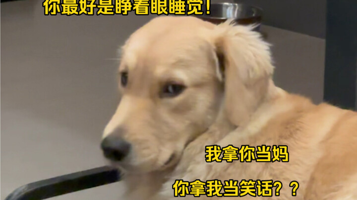 เกินไปแล้ว! ฉันถือว่าคุณเป็นแม่ แต่คุณกลับมองฉันเป็นเรื่องตลกงั้นเหรอ?