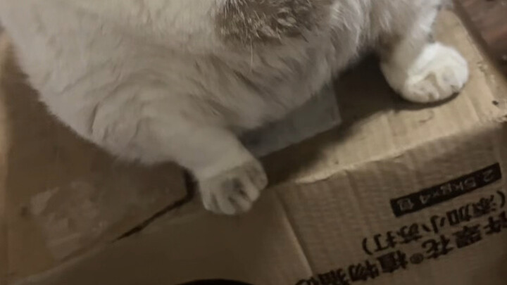 I wouldn't keep things to myself, would I?