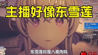 真的有那么像冬雪莲吗