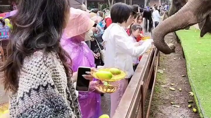 زوجي ببساطة لا يُحتمل!