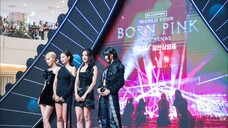 BLACKPINK - WORLD TOUR [BORN PINK] IN CINEMAS 'EVENT : PINK CARPET' 2024