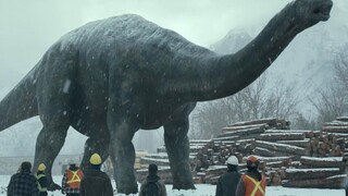 Dinosaurs have appeared in large numbers in modern society, completely overpowering modern animals, 