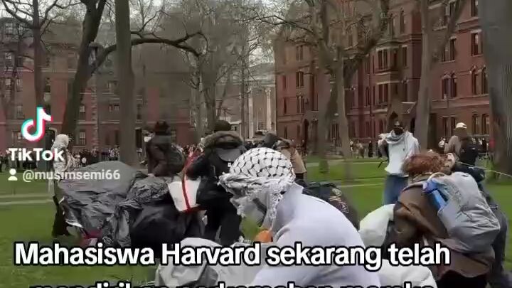 Mahasiswa Harvard kemah