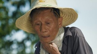 我的父亲没有散文诗，他的手上只有厚厚的老茧