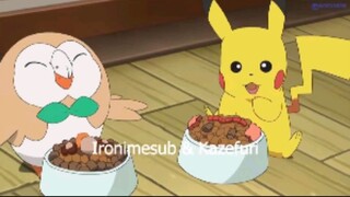 Pokemon Sun & Moon Episode 96