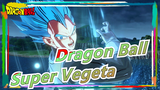 [Dragon Ball] This's Super Vegeta!!!
