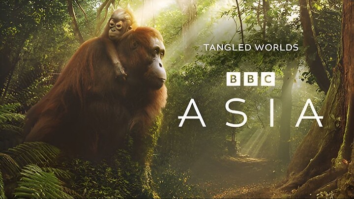 Asia_S01E04_Tangled Worlds