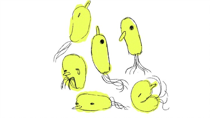 chirp