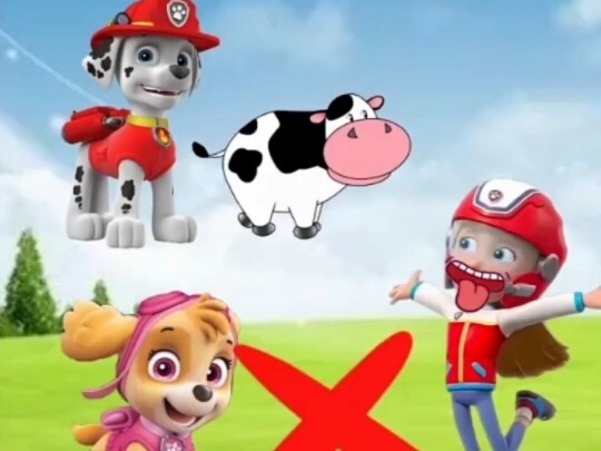 Chó gọi Paw Patrol bằng cách nào?