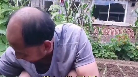 What the…?! What the…? What the…?