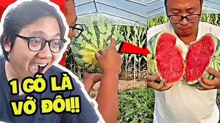 Những Thứ Ảo Ma Canada Lazada AAA.. Nhất Thế Giới