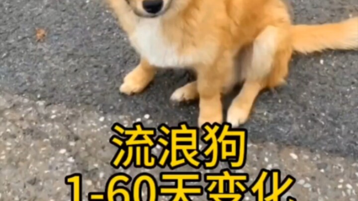 Kamu membuangnya dalam satu menit, tapi aku butuh 2 bulan untuk menyembuhkannya.