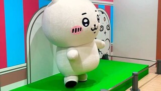 【ちいかわ】吉伊你是一个一个！不敢下楼梯的宝宝！