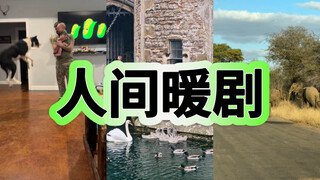 人间暖剧Pt.1