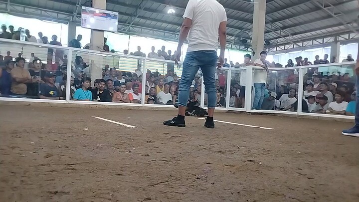 2x henie December 25 2025 1st fight