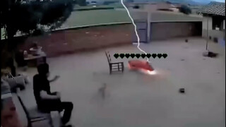 Tantangan menahan tawa!! Babi: Beri aku kacang!