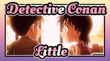 Detective Conan|[3 Sandbox Friends]Little（Moving/Healing）