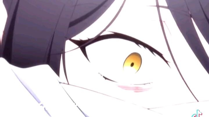 the case study of vanitas