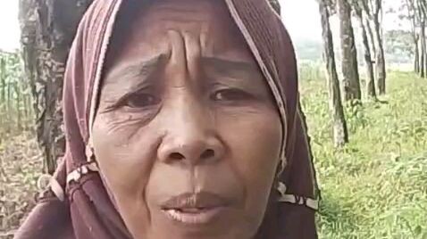 nenek siapa ini?😭