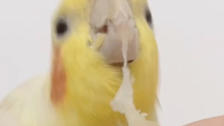 Mom, this thing can be stretched into threads!