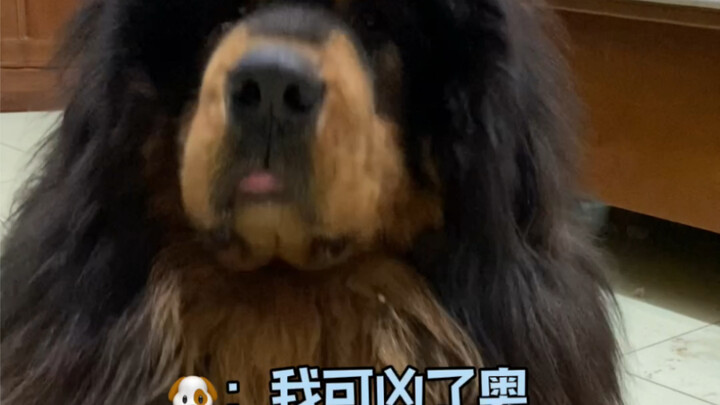 This time it's really fierce, isn't it?