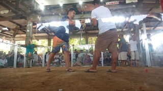 sayang kinapus yung talisay ko. salamat 2xw.