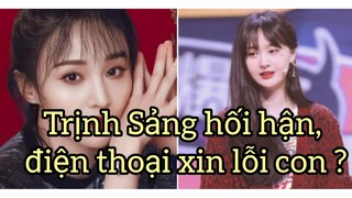 Trịnh Sảng hối hận điện thoại xin lỗi con?