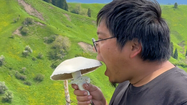 This damn curiosity! A cautionary tale.