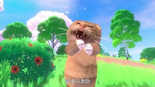 ฤดูใบไม้ผลิอยู่ที่ไหน