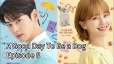 A Good Day To Be a Dog | Episode 8 | EngSub