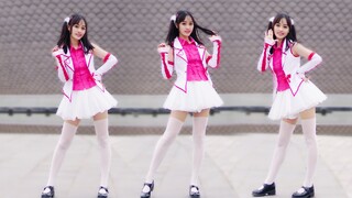 【Light Wheel】Blooming with Dreams