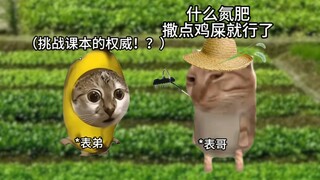 当农学专业的表弟来到乡村