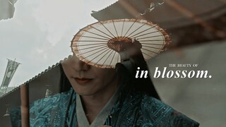 The Beauty of In Blossom.