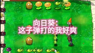 这向日葵怕不是有受虐倾向不过我喜欢