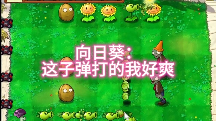 这向日葵怕不是有受虐倾向不过我喜欢