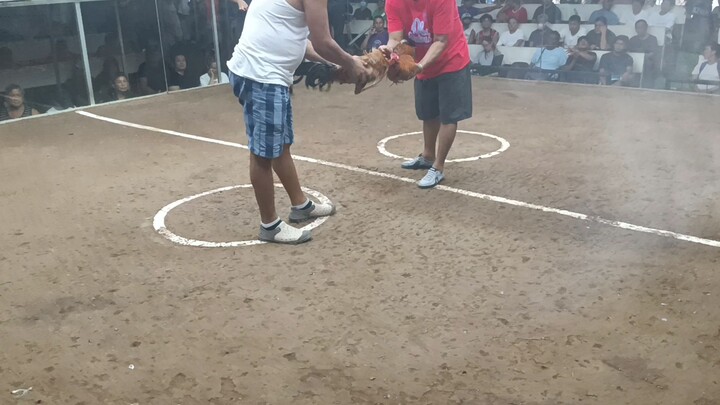 #2nd fight wen champion tayo Jan mga ka nokiss🐓🐓