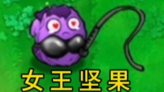 The ultimate plant: Queen Nut