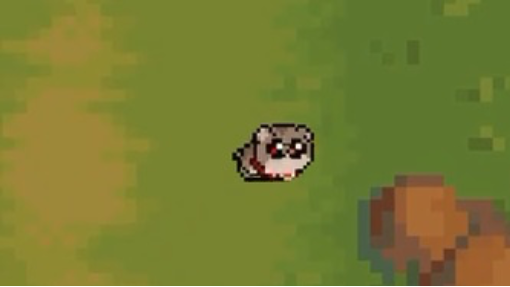 Hamster in pixel petz?