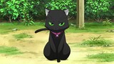 Nyan Koi Episode 01-12 | English Dubbed
