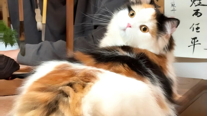 เจ้าแม่ซานฮวาถูกทำให้มีรูปร่างขึ้นมาแล้ว