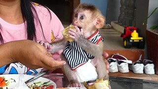 Most refreshingly This morning! Adorable Tiny Baby Maki happy Eating Corn And Milk For Breakfast